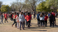 Intercolegial